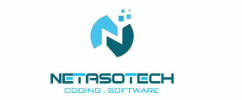 Netaso Logo